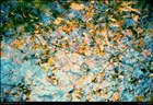 dailyPhoto8